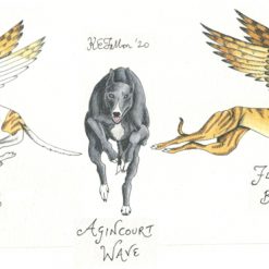 Rainbow Bridge Dog Commissions (Multiple).