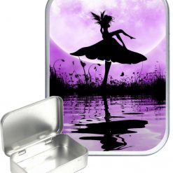 Fairy Mushroom Hinged Tin, Pocket Tin, Pill Tin,Sewing Tin, Storage Tin, 30ml Tin