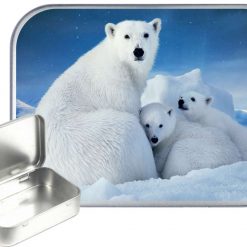 Polar Bear Hinged Tin, Pocket Tin, Pill Tin, Sewing Tin, Storage Tin, 30ml Tin