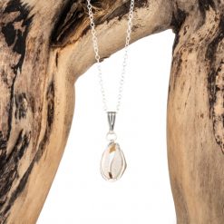 Cowrie  Necklace