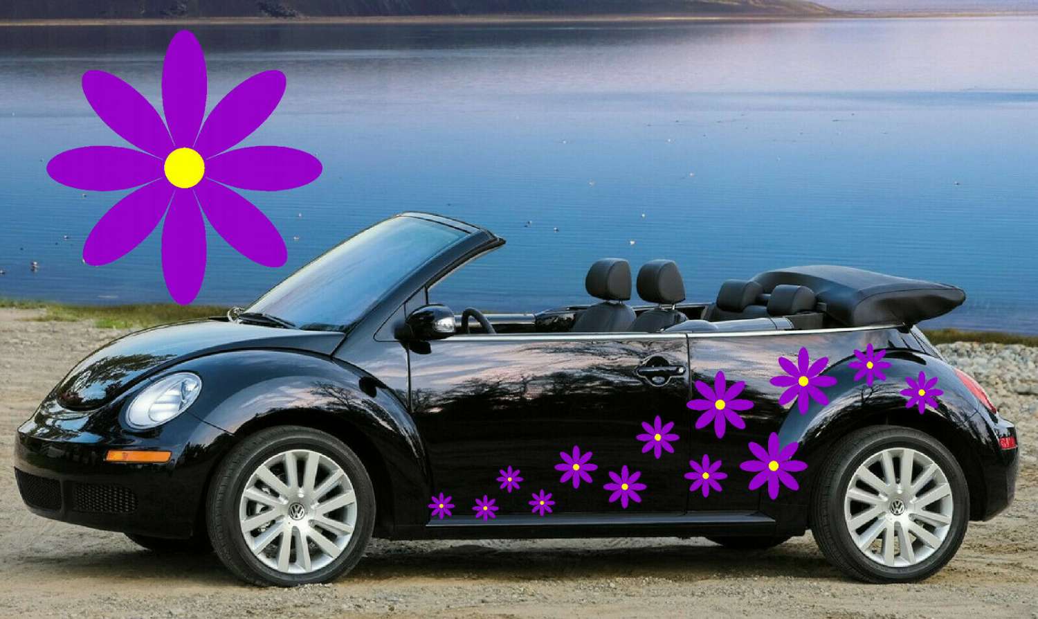 32 Purple & Yellow Daisy Car Decals,Car Graphics,Stickers 32 Purple & Yellow Daisy Car Decals,Car Graphics,Stickers