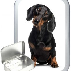 Dachshund Hinged Tin, Pocket Tin, Pill Tin, Sewing Tin, Storage Tin, 50ml Tin