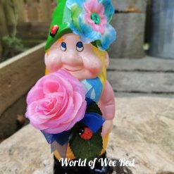 Garden gnomie