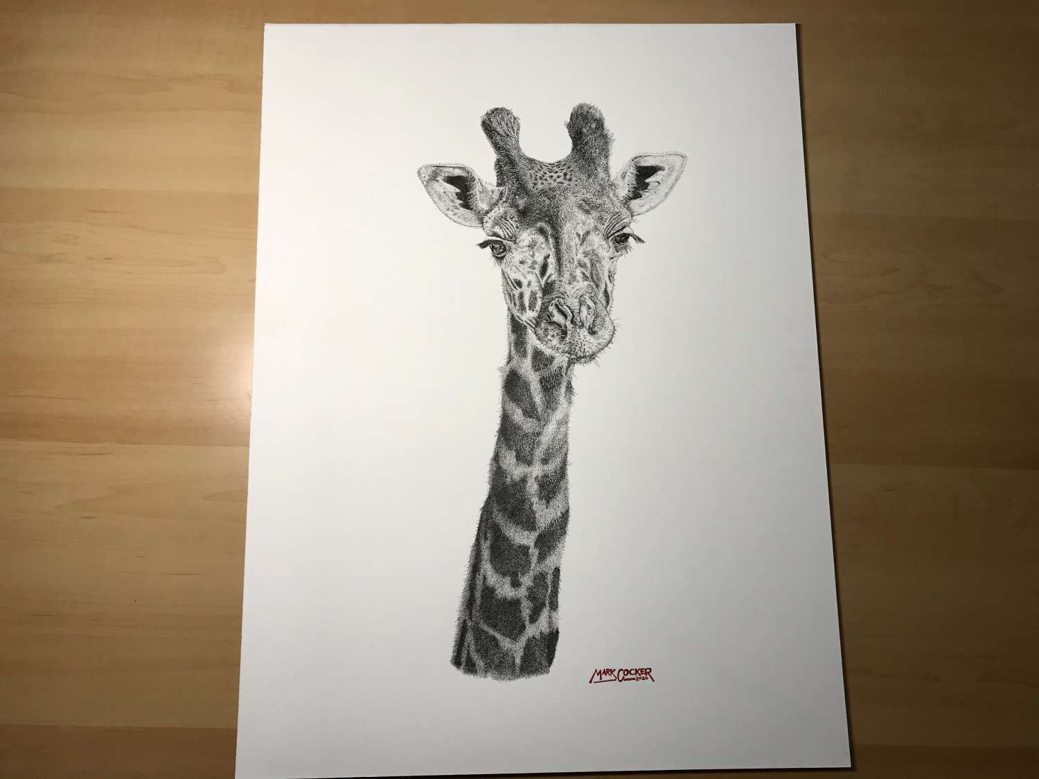 GICLEE SIGNED LIMITED EDITION PRINT BY MARK COCKER A3 GIRAFFE /"ELEGANCE/"