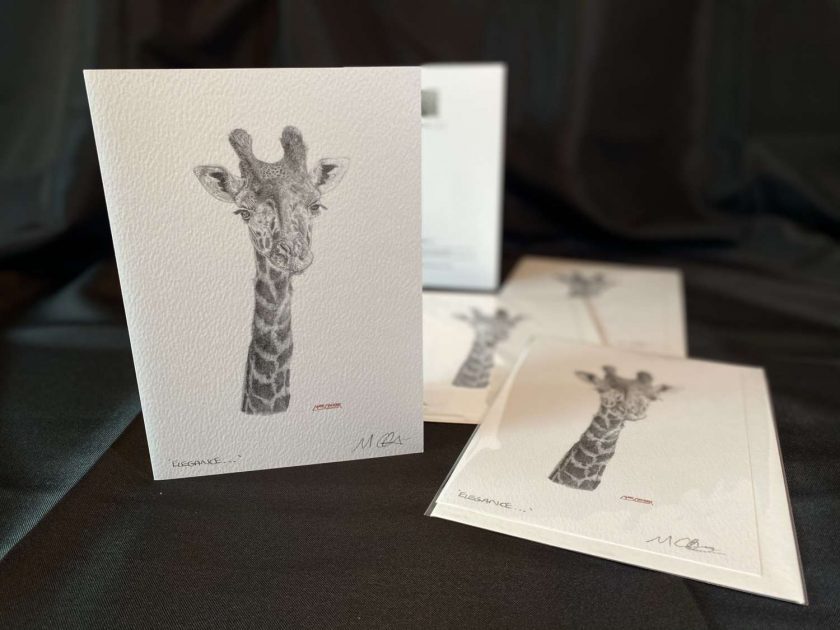GICLEE SIGNED LIMITED EDITION PRINT BY MARK COCKER A3 GIRAFFE /"ELEGANCE/"