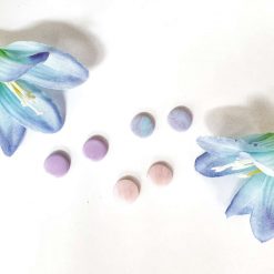 Pastle Studs