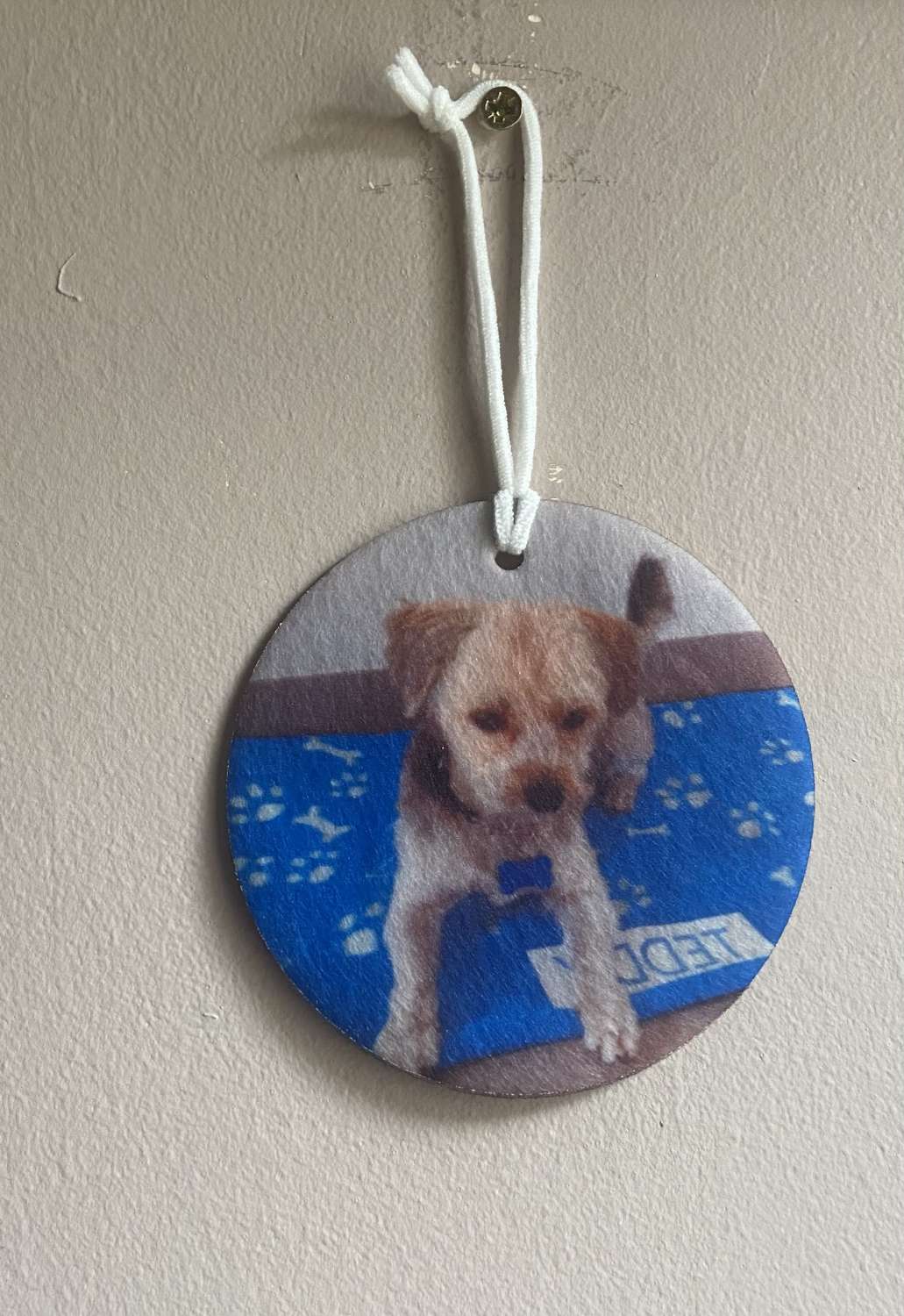 IMG_2278 Personalised Photo Car Home Air Fresheners Photo Gift 6