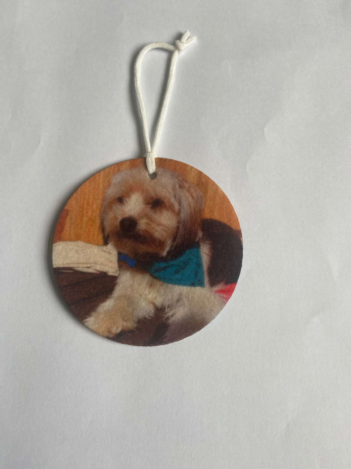 IMG_2281 Personalised Photo Car Home Air Fresheners Photo Gift 5