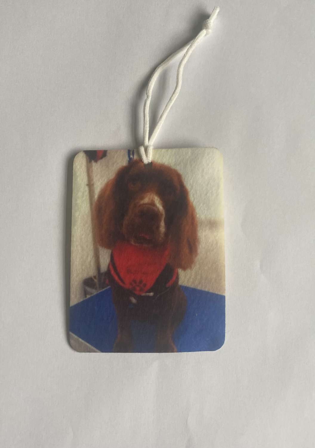 IMG_2306 Personalised Photo Car Home Air Fresheners Photo Gift 4