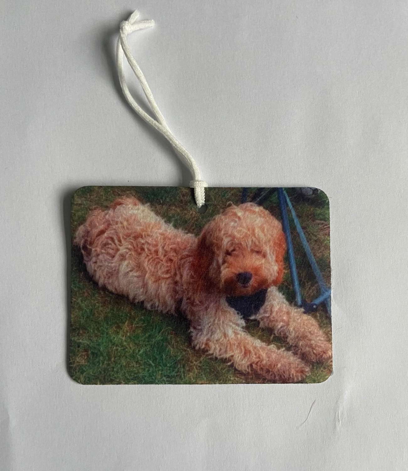 IMG_2311 Personalised Photo Car Home Air Fresheners Photo Gift 7