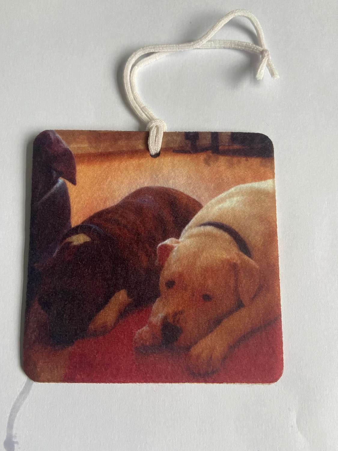 IMG_2313 Personalised Photo Car Home Air Fresheners Photo Gift 3
