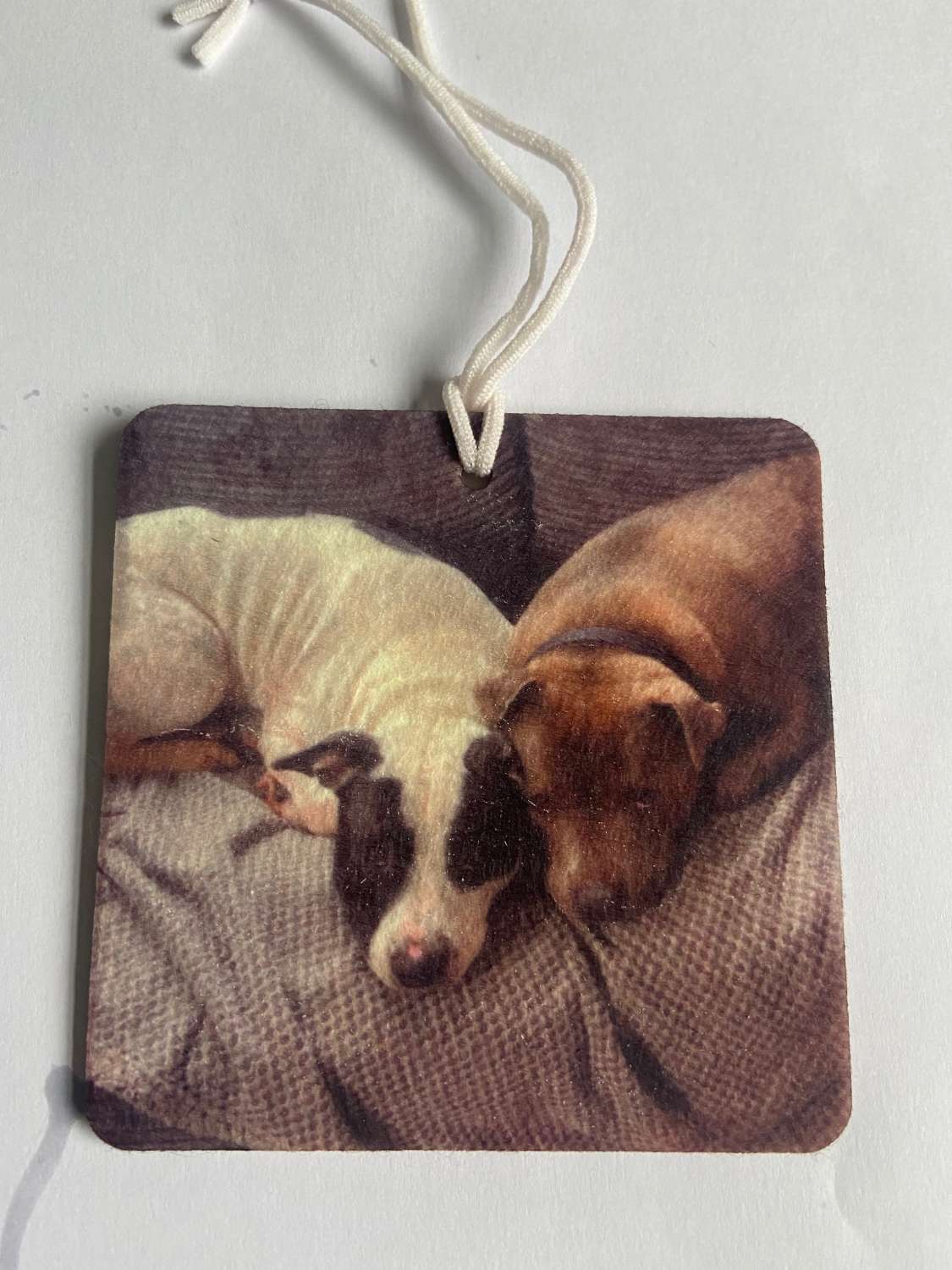 IMG_2314 Personalised Photo Car Home Air Fresheners Photo Gift 2