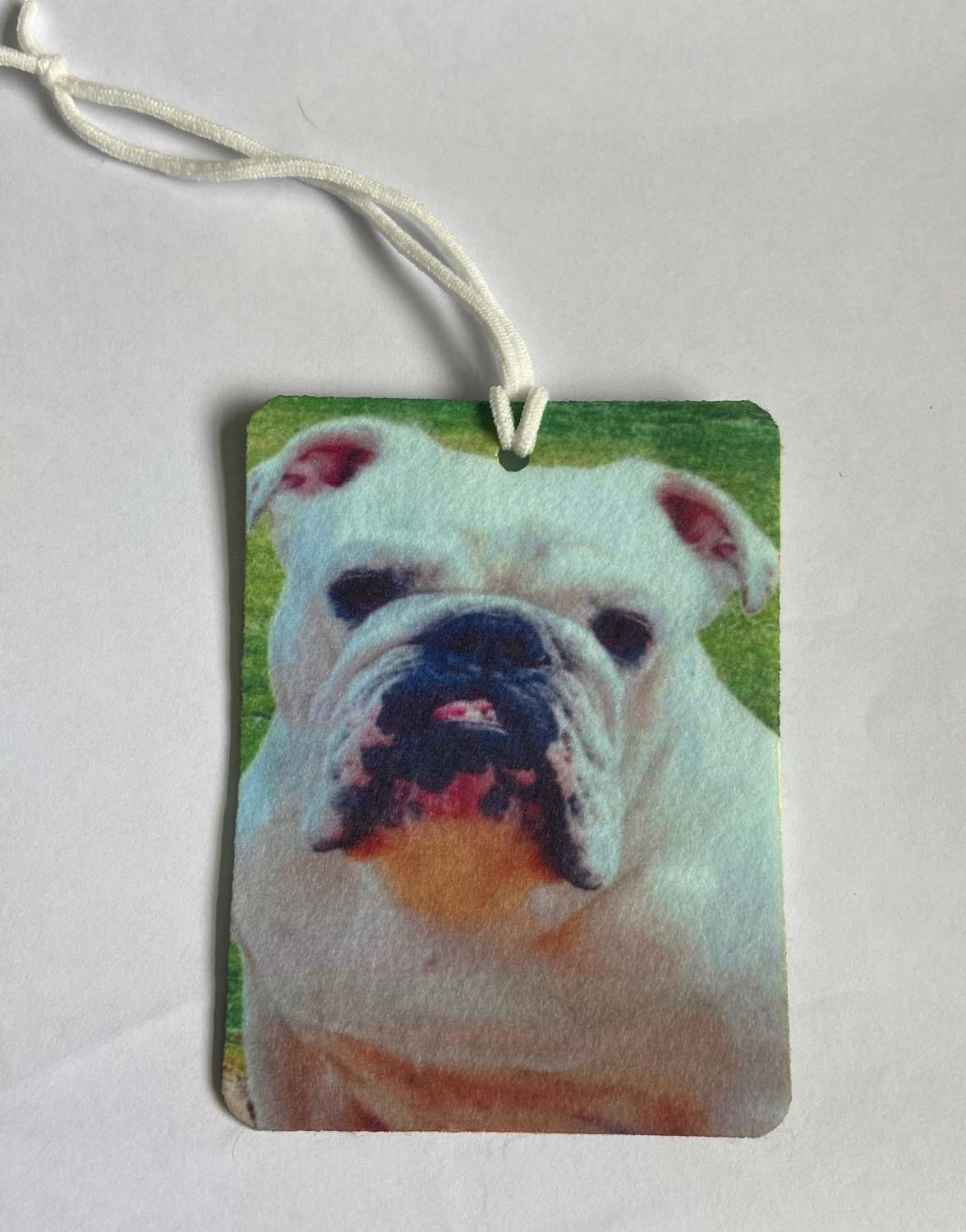 IMG_2325 Personalised Photo Car Home Air Fresheners Photo Gift 1