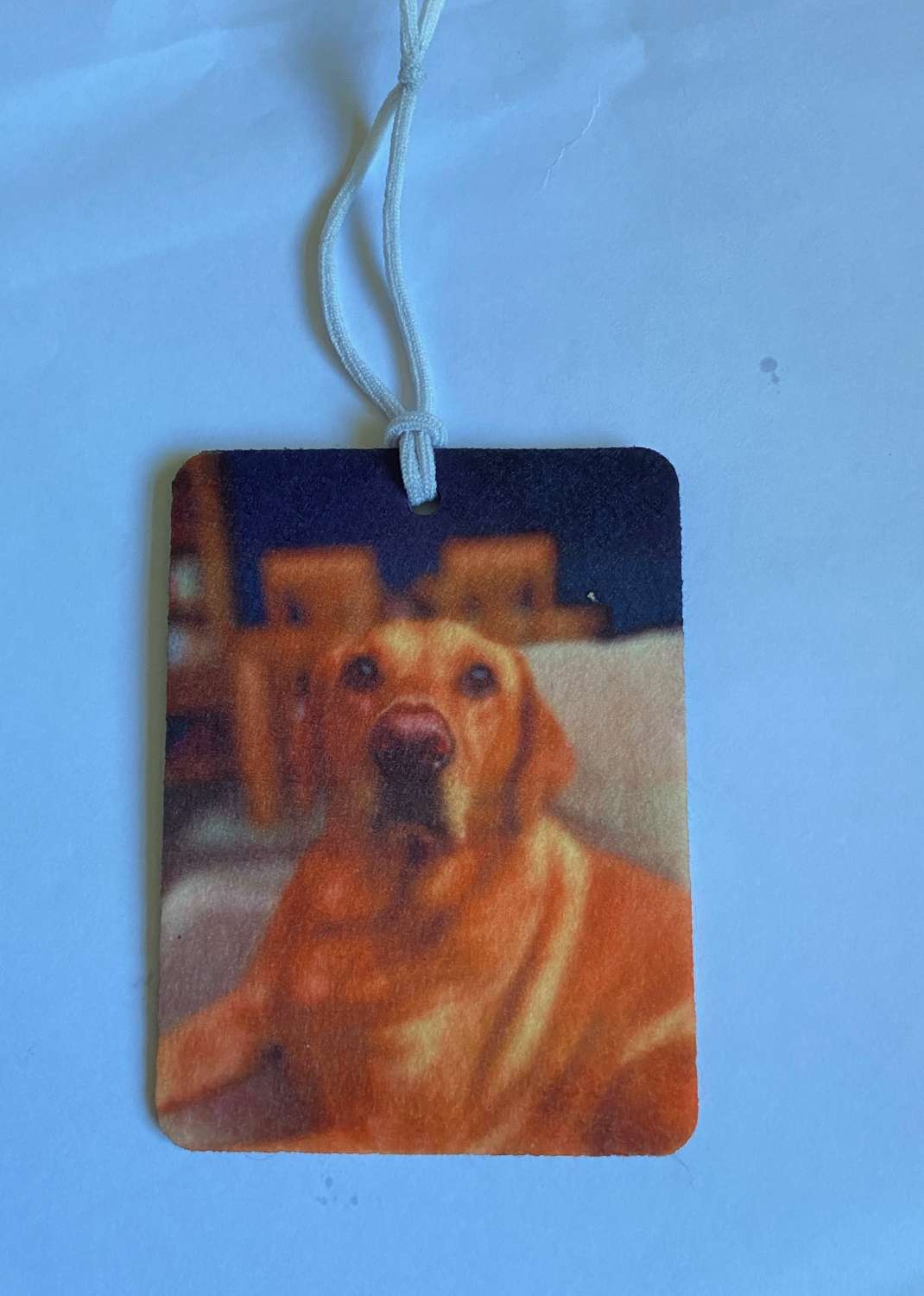 IMG_2470 Personalised Photo Car Home Air Fresheners Photo Gift 11