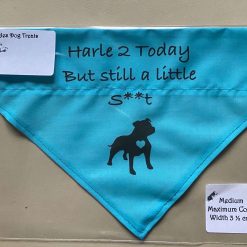 Dog Gift Personalised Dog Bandanna with name quote of your choice 12 Dog Gift Personalised Dog Bandanna with name quote of your choice 12