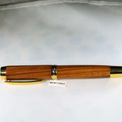 CHAIRMAN FOUNTAIN PEN in NEWTONIA