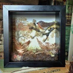 Needle Felt Robin  , Diorama, Miniature Scene, Watercolour painting, Landscape, Needle Felted Animal, Wool Sculpture, Fibre Art, Sculpture, Gift, Woodland Creature, Wildlife, Bird, Birds