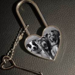 Beautiful For the family, Pet, or partner Photo Metal Heart Love Lock and Key 5 Beautiful For the family, Pet, or partner Photo Metal Heart Love Lock and Key 5
