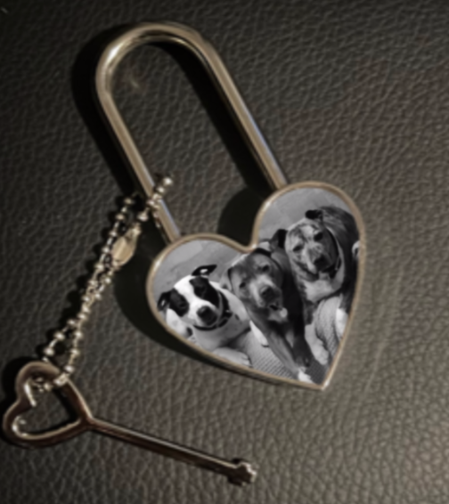 Beautiful For the family, Pet, or partner Photo Metal Heart Love Lock and Key Beautiful For the family, Pet, or partner Photo Metal Heart Love Lock and Key