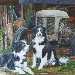 Collie farm dogs and antique tractor
