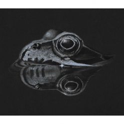 Fine Art Print - Limited Edition Common Frog Reflection Print 3 Fine Art Print - Limited Edition Common Frog Reflection Print 3