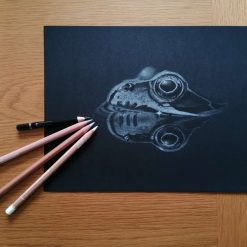Fine Art Print - Limited Edition Common Frog Reflection Print 2 Fine Art Print - Limited Edition Common Frog Reflection Print 2