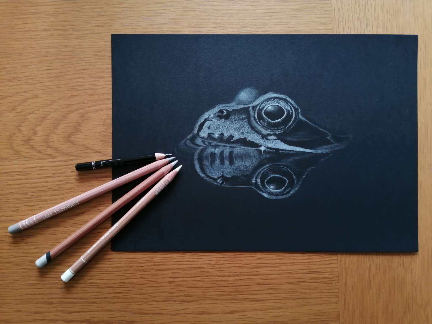 Fine Art Print - Limited Edition Common Frog Reflection Print Fine Art Print - Limited Edition Common Frog Reflection Print