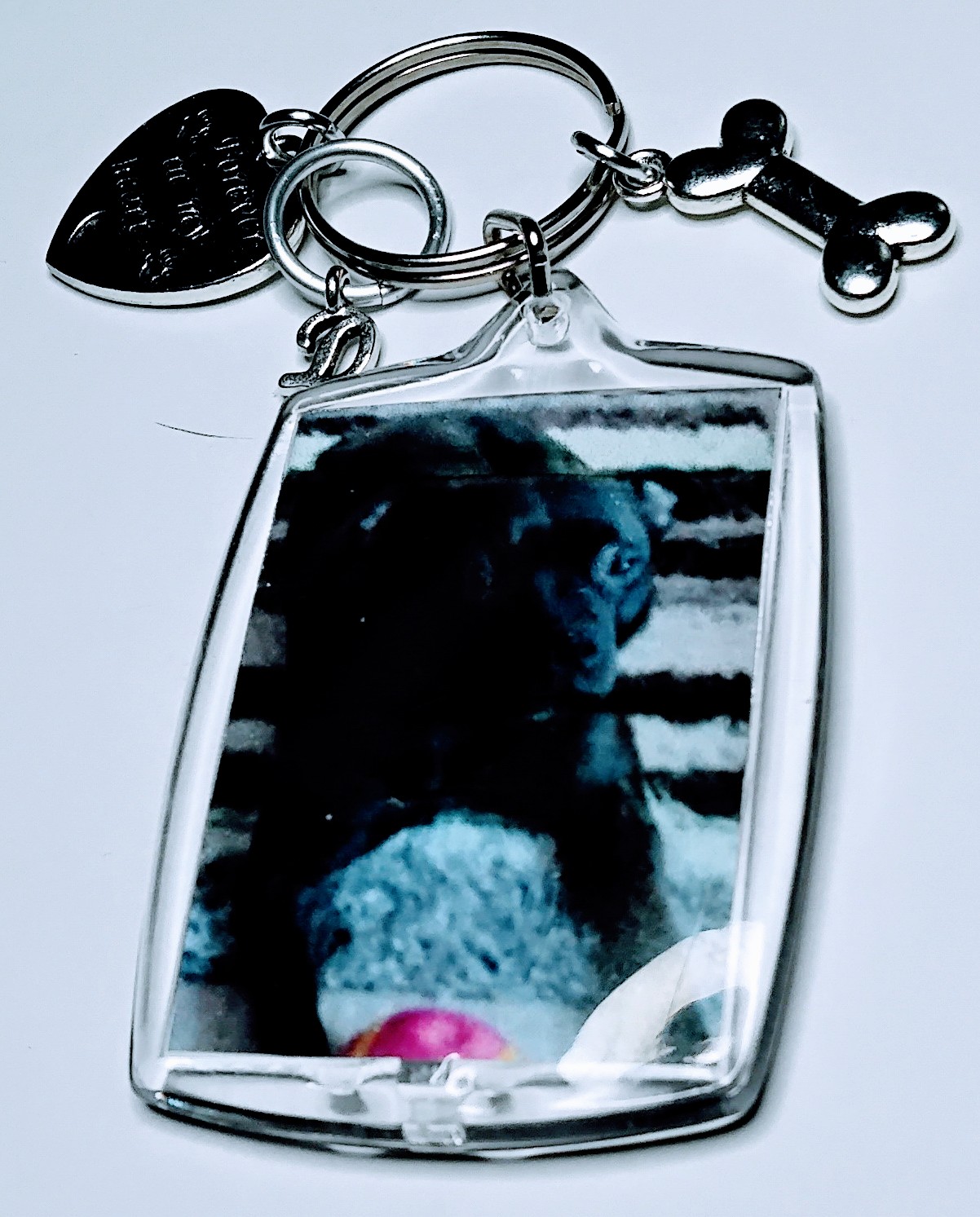 Pet Keychain Pet Keychain