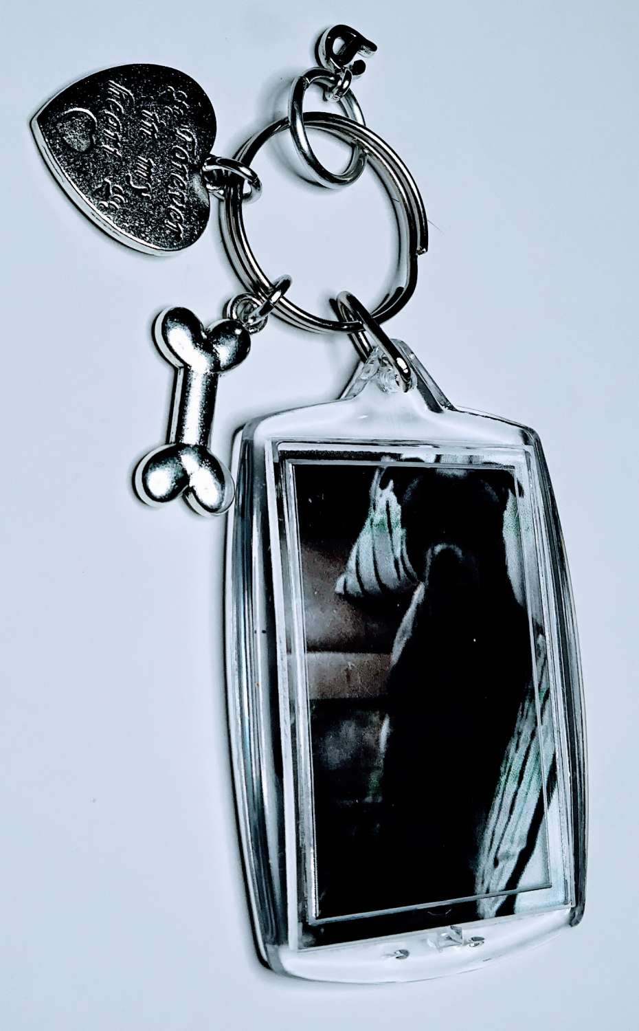 Pet Keychain Pet Keychain