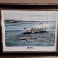 Falklands patrol