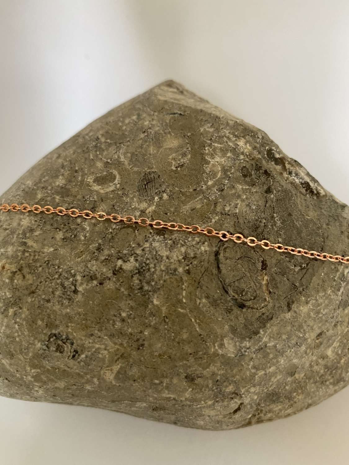 Rose Gold Circle Link Necklace Rose Gold Circle Link Necklace