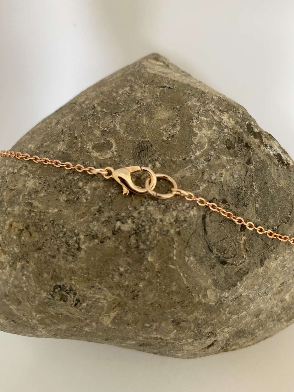 Rose Gold Circle Link Necklace Rose Gold Circle Link Necklace