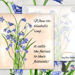 Bluebell glass coaster - choice of background 7 Bluebell glass coaster - choice of background 7