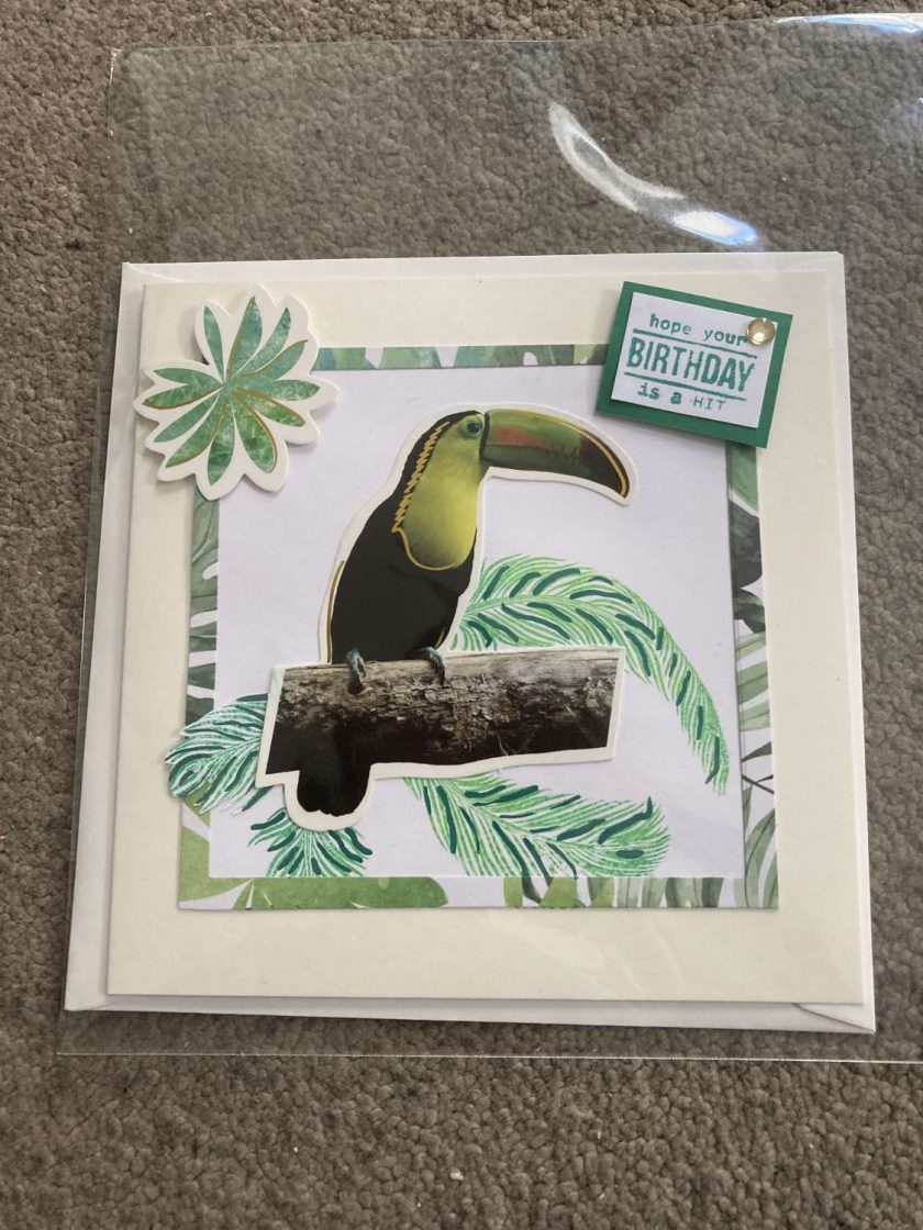 Jungle themed cards MadeMe