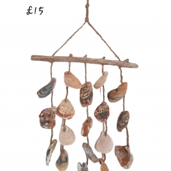 Natural Shell Hanging