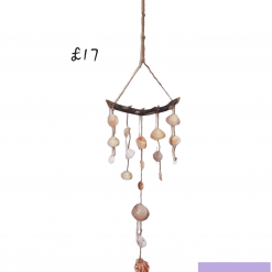 Hanging Shell Decor