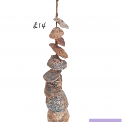 Hanging Shell Decor