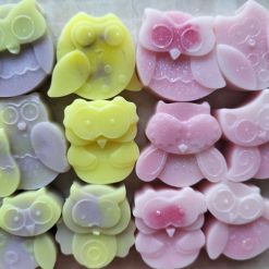 Owl Wax Melts (Perfume Range)