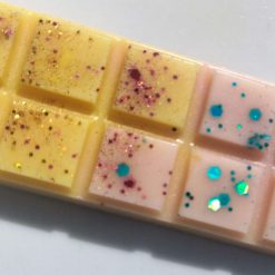 Pinky Sands Wax Melt Snapbar 1