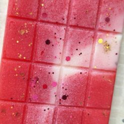 Pinky Sands Wax Melt Snapbar