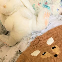 Friendly Faces Jumper - Fox