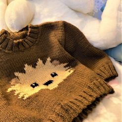 Friendly Faces Jumper - Hedgehog