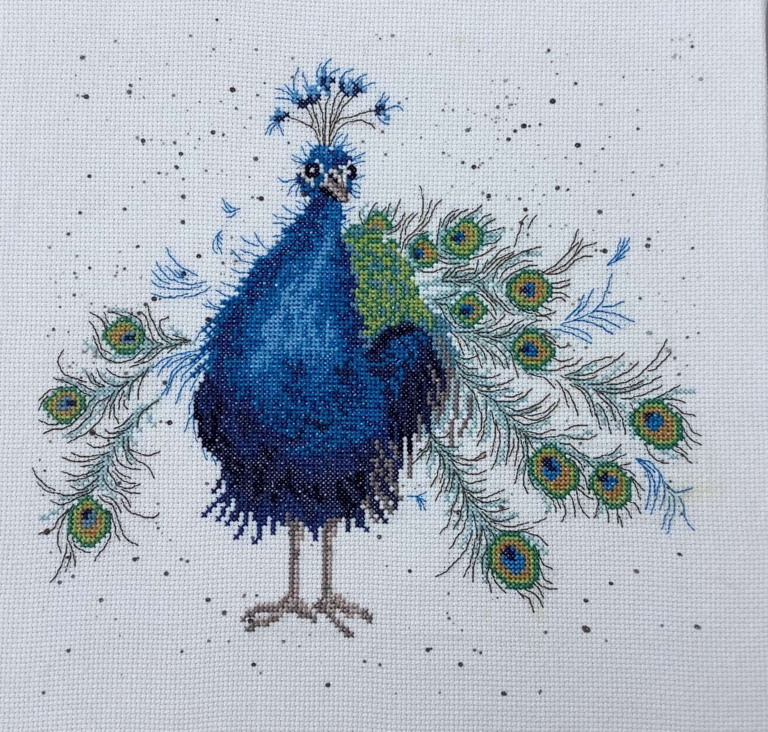 Completed Peacock Cross stitch canvas MadeMe
