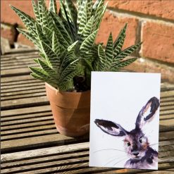 Inky Hare Postcard & envelope.