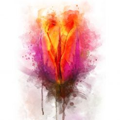 Saffi's World Flower Map