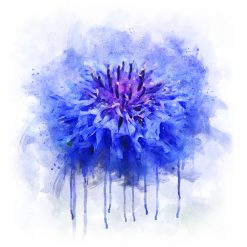 Saffi's World Flower Map