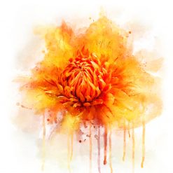 Saffi's World Flower Map