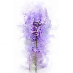 Saffi's World Flower Map