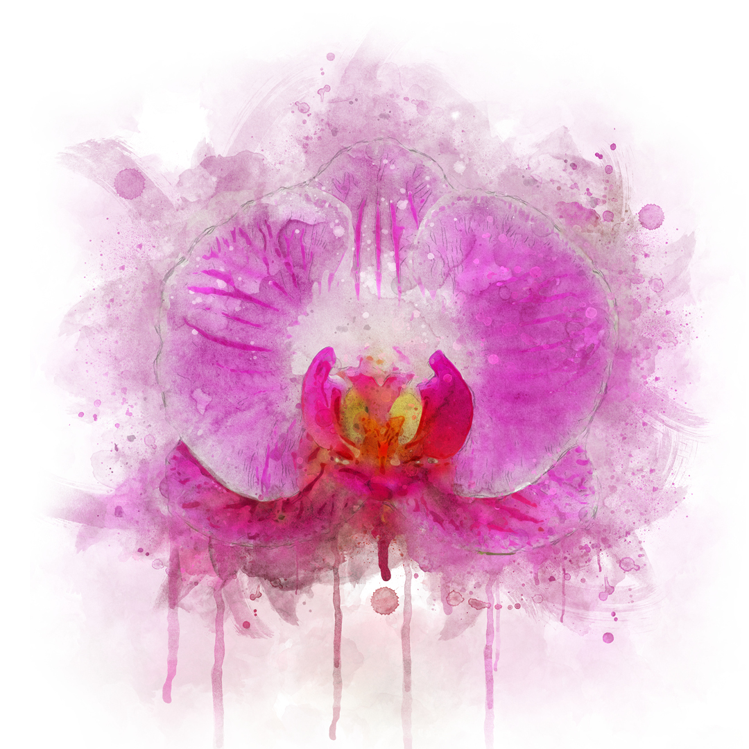 Saffi's World Flower Map Saffi's World Flower Map
