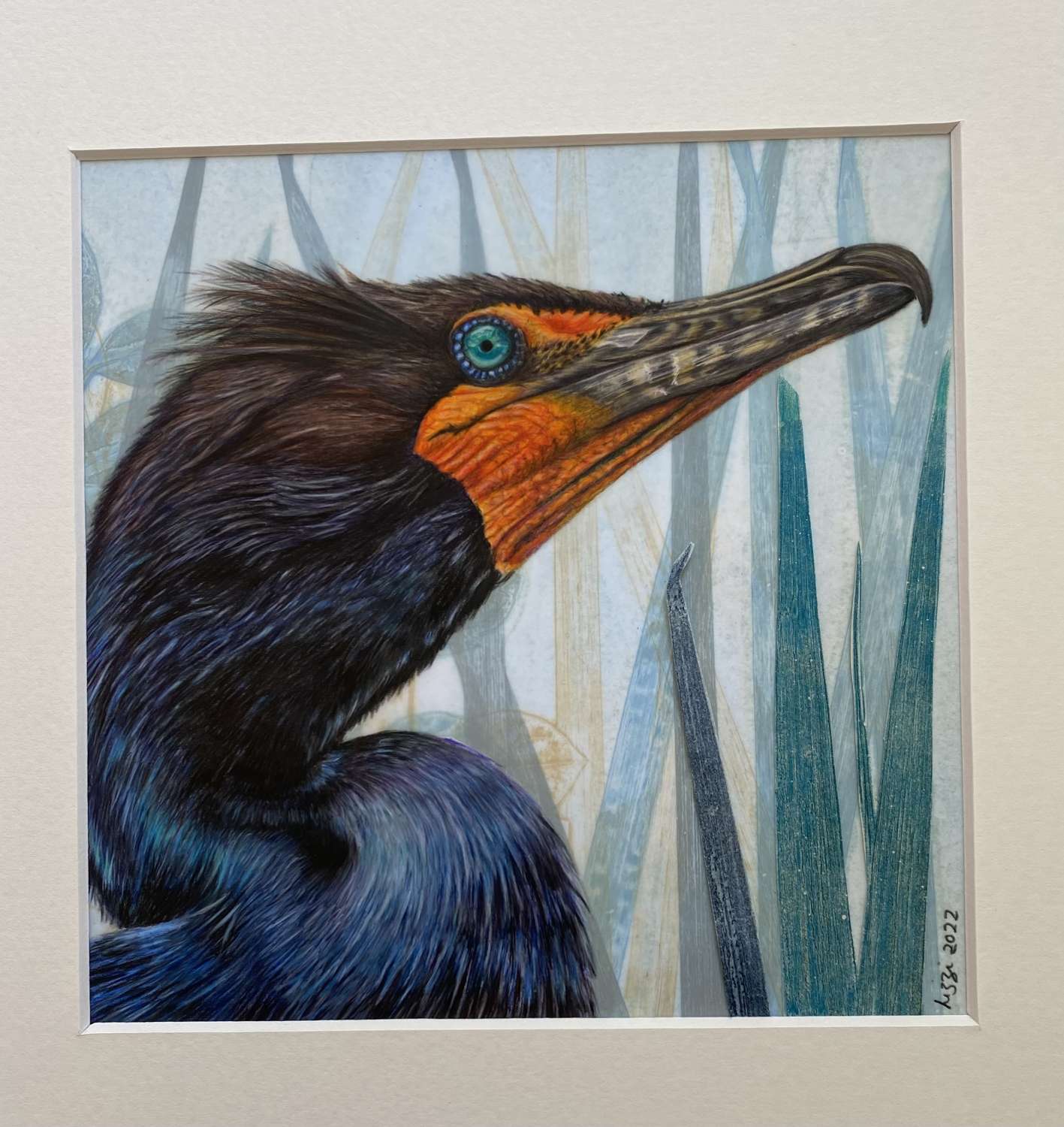 955D7BC9-5F16-4E43-9C63-0F2E27D71F90 Cormorant signed limited edition giclee print 1